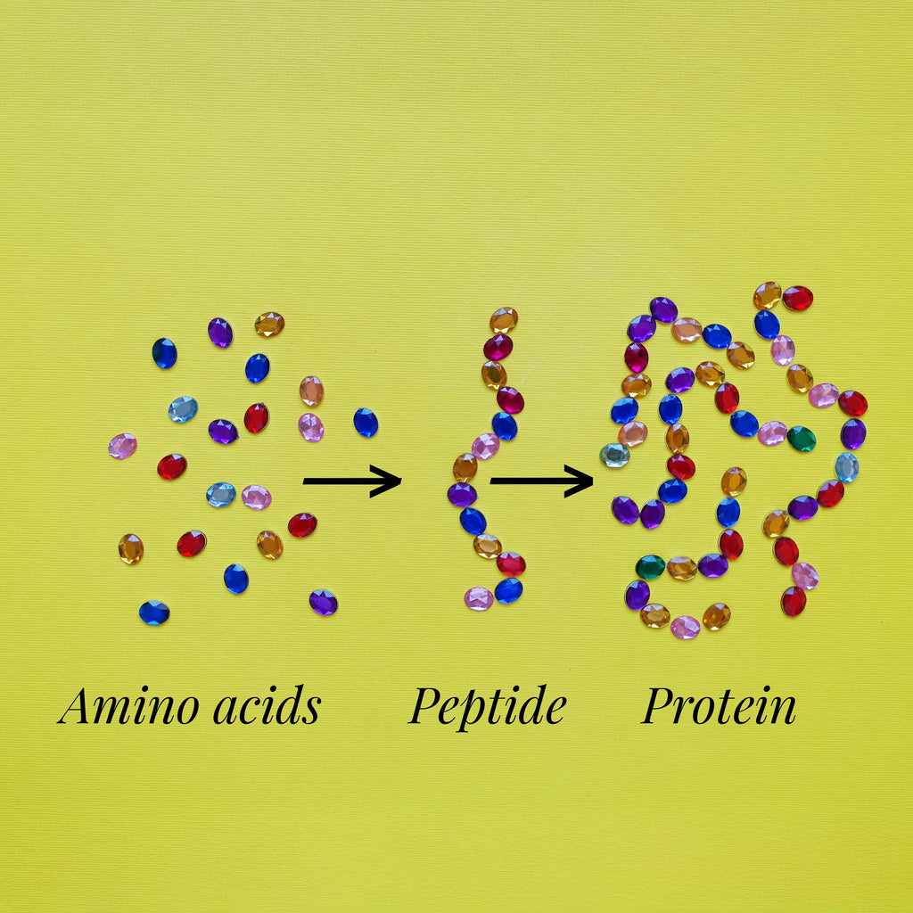 Title: Peptides and Amino Acids in Skincare: What They Do and Why Your Skin Loves Them