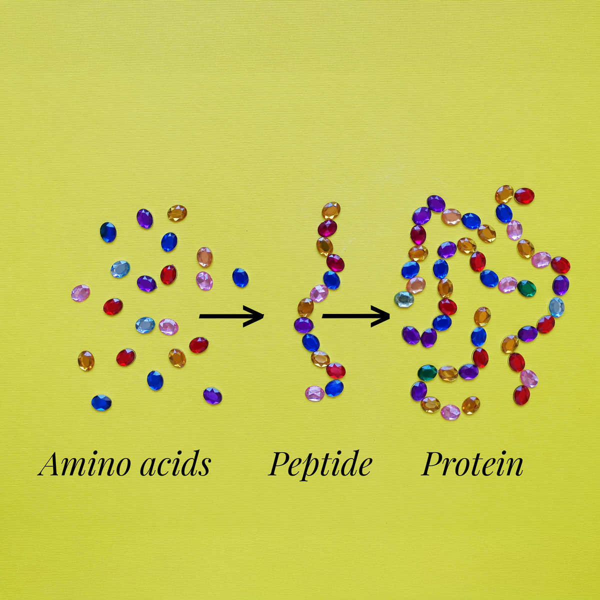 Why Your Skin Loves Peptides & Amino Acids – Ayucell