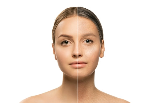 Inflammaging - How Ayucell Helps Defend Your Skin