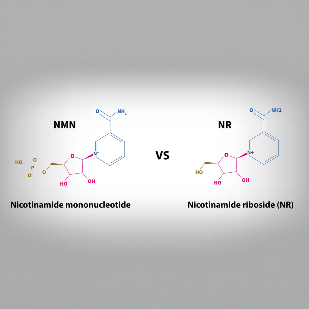 NAD+, NMN, and NR: Understanding the Best Anti-Aging Choice for Your Skin